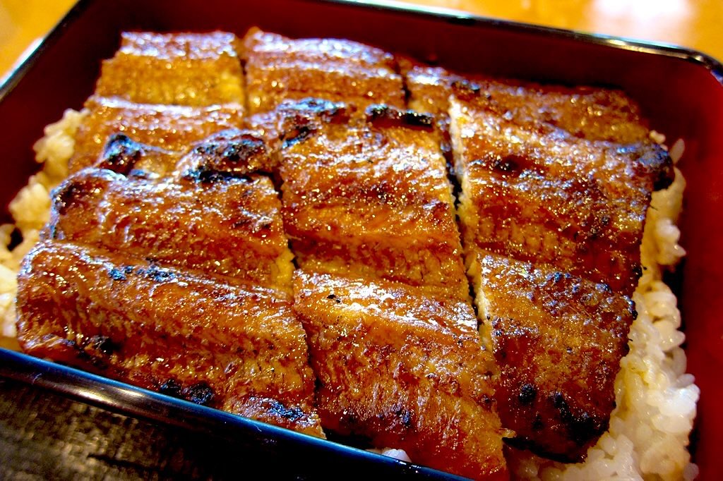 くぅ〜堪らなく鰻が喰いたくなった✨（写真は三方五湖の鰻ですが、記事とは別のものです）  まさにその肉体は、アスリートだった。
https://www.facebook.com/share/p/1A9BoAStEM/
#fukui #福井 #福井の暮らし #福井工業大学 #FUT #研究 #マーケティング #福井グルメ