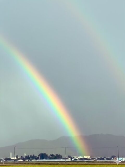 先日、  「次年度のゼミ配属の希望者が配属定員を超過しそうで嬉しい悲鳴☺️」  と、書かせていただきましたが、私が囲い込まずに「とにかく他の研究室もまわった方が良い。研究室（ゼミ）選びは相性だから」と送り出したところ、別の先生に魅了されて大幅に希望者を失ったことを知る😅  どこがポイントかは分からないですが、レベル高そうって思われたみたいです。（これ、一説によると、あまりよくないらしいですね...💦）  残念だけど、仕方がないです。
だからと言って、私は方針を曲げたくないし、口当たりの良い言葉を並べてリクルーティングしたくもない。ここだけは信念を貫かせていただきたいと思います。  途中まではちゃんとマーケティングしましたが、最後の最後はマーケティングできません。プロダクトアウトでいかせてください。  ただ一言だけ申し上げたい。
レベルが高いとはどういうところでしょう？  ・先行研究（論文）たくさん読まなきゃいけないところ？👉それは確かに厳しいのかも
・自分たちで考えて計画を立てて進めなきゃいけないところ？👉確かに、人によっては厳しいかもですね
・他の研究室よりも書かないといけない論文の目標文字数が多いところ？👉厳しいと言われているみたいですが、私は厳しいとはまったく思っていません。普通に書けばむしろ足りなくなるハズ。現に皆さんの先輩のおひとりは2章まで書いて既に6,000字超です。普通、論文は6章構成であり、最も多くなるであろう調査結果・分析パートを+2,000字とすれば、余裕で目標文字数いく計算です。  ・自主性を重んじるがあまり、あんまり指導（支援）してくれなさそう？👉これだけは全力で否定します。むしろやる気さえあれば私の全能力と知識・経験を出し惜しみせず投入し、全身全霊で指導（支援）します。  3年生との接点が乏しいんですよね。私の思想がちゃんと伝わるにはもう少し時間が必要だということかもしれません。  あるいは人間力とプレゼン力に問題があるのかもしれませんし、そもそものところでニーズとの整合性に難があるのかもしれませんが、そこは繰り返しになりますが、迎合して調整する気はあまりありません。  最後は蓋を開けてみないとわからないのですが、少しでも私のところで頑張ってみたいというやる気のある方が揃うと良いなと思います。
#fukui #福井 #福井の暮らし #福井工業大学 #FUT #研究 #マーケティング #教育 #研究室 #研究室配属