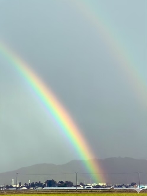 先日、  「次年度のゼミ配属の希望者が配属定員を超過しそうで嬉しい悲鳴☺️」  と、書かせていただきましたが、私が囲い込まずに「とにかく他の研究室もまわった方が良い。研究室（ゼミ）選びは相性だから」と送り出したところ、別の先生に魅了されて大幅に希望者を失ったことを知る😅  どこがポイントかは分からないですが、レベル高そうって思われたみたいです。（これ、一説によると、あまりよくないらしいですね...💦）  残念だけど、仕方がないです。
だからと言って、私は方針を曲げたくないし、口当たりの良い言葉を並べてリクルーティングしたくもない。ここだけは信念を貫かせていただきたいと思います。  途中まではちゃんとマーケティングしましたが、最後の最後はマーケティングできません。プロダクトアウトでいかせてください。  ただ一言だけ申し上げたい。
レベルが高いとはどういうところでしょう？  ・先行研究（論文）たくさん読まなきゃいけないところ？👉それは確かに厳しいのかも
・自分たちで考えて計画を立てて進めなきゃいけないところ？👉確かに、人によっては厳しいかもですね
・他の研究室よりも書かないといけない論文の目標文字数が多いところ？👉厳しいと言われているみたいですが、私は厳しいとはまったく思っていません。普通に書けばむしろ足りなくなるハズ。現に皆さんの先輩のおひとりは2章まで書いて既に6,000字超です。普通、論文は6章構成であり、最も多くなるであろう調査結果・分析パートを+2,000字とすれば、余裕で目標文字数いく計算です。  ・自主性を重んじるがあまり、あんまり指導（支援）してくれなさそう？👉これだけは全力で否定します。むしろやる気さえあれば私の全能力と知識・経験を出し惜しみせず投入し、全身全霊で指導（支援）します。  3年生との接点が乏しいんですよね。私の思想がちゃんと伝わるにはもう少し時間が必要だということかもしれません。  あるいは人間力とプレゼン力に問題があるのかもしれませんし、そもそものところでニーズとの整合性に難があるのかもしれませんが、そこは繰り返しになりますが、迎合して調整する気はあまりありません。  最後は蓋を開けてみないとわからないのですが、少しでも私のところで頑張ってみたいというやる気のある方が揃うと良いなと思います。
#fukui #福井 #福井の暮らし #福井工業大学 #FUT #研究 #マーケティング #教育 #研究室 #研究室配属