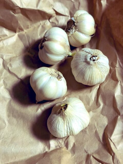 昨日、私を家に置いていった家族が #一乗谷朝倉氏遺跡 でお土産を買ってきてくれました✨  今日は一週間で一番忙しい日なのでお昼が食べられないくらい過密スケジュールにつき、少しでもお腹の足しにしようと思って研究室に持ってきたわけ。  ゼミ中に食べようと思って紙包みを開けたら...  ゼミ生一同大爆笑😂😂😂  やってくれるぜ🧄  おもろいやないかい🧄
#fukui #福井 #福井の暮らし #福井工業大学 #FUT #研究 #マーケティング #福井グルメ