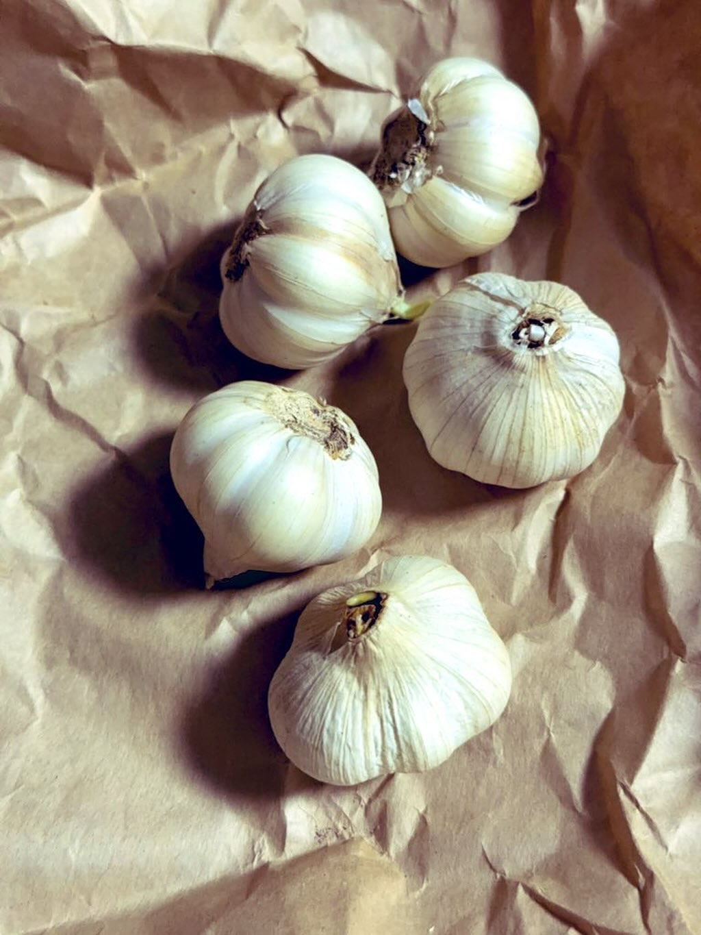 昨日、私を家に置いていった家族が #一乗谷朝倉氏遺跡 でお土産を買ってきてくれました✨  今日は一週間で一番忙しい日なのでお昼が食べられないくらい過密スケジュールにつき、少しでもお腹の足しにしようと思って研究室に持ってきたわけ。  ゼミ中に食べようと思って紙包みを開けたら...  ゼミ生一同大爆笑😂😂😂  やってくれるぜ🧄  おもろいやないかい🧄
#fukui #福井 #福井の暮らし #福井工業大学 #FUT #研究 #マーケティング #福井グルメ