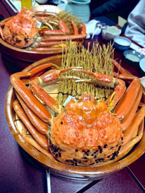 昨日は前職で一番お世話になった得意先の広報宣伝部長さんが前職元部下と元パートナープランナーらを引き連れて、福井を訪ねてくださいました。懐かしい面々、懐かしい空気感、めちゃくちゃ楽しかったです。 #越前ガニ🦀 に #越前セイコガニ🦀 #黒龍 & #永平寺白龍🍶 美味い〜💖 私まですっかりご馳走になってしまい申し訳ありません🙇♂️ 福井のサイコーな夜でした✨
#fukui #福井 #福井の暮らし #福井工業大学 #FUT #研究 #マーケティング #福井グルメ