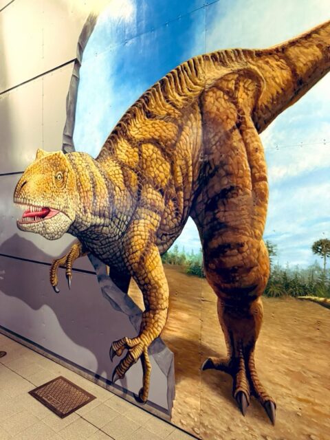 ただいま。 恐竜さん🦕もただいま🦖 今日、良かったことは、 昔の仕事仲間と前向きな話がたくさん出来たこと✨ 初仕事・初コラボがとても楽しかったこと(理論的に貢献したいので、あまり話せることがなくて、貢献できたかは、正直、謎。まずは自分の理論を確立して、ちゃんと論文化しないとダメだな、と、強く実感。すべてはそこからだわ)。 そして、そこで面白そうな出逢いが幾つもあったこと❤️🔥 一方その頃、で、嫌なことや上手くいかないこと、衝撃的なことなどが同時多発的にたくさんあった1日でもありました。 久しぶりに感情を上下左右に揺さぶられた感じでして。 一晩寝まして、気持ちを整えます😴 まあ、人生、さすがにいいことばかりじゃないよね。 反動で、こんな日もあるけれど、そうは言ってもいろいろやるせない夜🪢 福井はそんな私の気持ちを代弁するかのように、シトシトと冷たい雨が降り🌧️、時折雷鳴⚡️が鳴り響きます⛈️
#fukui #福井 #福井の暮らし #福井工業大学 #FUT #研究 #マーケティング #出張 #大阪 #日帰り