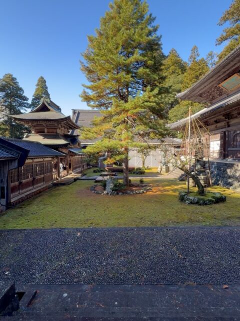 今日は福井をご案内。 三国か永平寺に行ってみたいとのことで、迷われていましたが、最終的には「#曹洞宗大本山 #永平寺」を選択。 私の大好きな場所を、大好きだった得意先で一番お世話になった方をお連れすることができるこの幸せ😊 いつもその方とは仕事の話もそこそこに、経済、社会、文学、哲学、、、いろんな話をします。 今回も多分に漏れず、#地域経済、#観光、#広告、果ては #禅 に #AI、#教育 に至るまで。多岐に渡り対話させていただきました。 永平寺を選んで良かったな、と思いました。 思想を深める場所として、永平寺ほど相応しい場所は他にありません。 なによりいつもお忙しくされている部長さんにほっとひと息つく時間を過ごしていただきたかったので。 お昼は行きたいと仰っていた #けんぞう蕎麦。 甘い物がお好きなので #マエダセイカ さんの #羽二重餅の古里 へ(いつもお世話になっています) そして拙宅に立ち寄り、その後は奥様からのメッセージに対応するべく #昆布屋孫兵衛 へ。 いや、福井に来て、昆布屋孫兵衛に立ち寄る観光客はおらんって。奥様、センス良すぎやろ。そして、それにキッチリ対応される部長がさすがッス👍(勉強になります☺️) そんなこんなであっという間にいい時間。 最後は駅前を散策して、お茶☕️をしながら新幹線🚄の時間を待つ。 いやー、いい時間だったー⏳ こうやってご縁が続いていくんだなぁ✨ これからもいただいたご縁を大事にして生きていきたいです❤️🔥
#fukui #福井 #福井の暮らし #福井工業大学 #FUT #研究 #マーケティング #福井観光 #福井グルメ