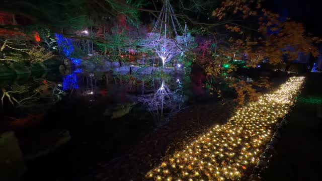 お隣の #越前町 の #越前陶芸村 にある #福井県陶芸館 の #イルミネーションイベント  越前焼×イルミネーション『#五千色の陶あかり』2025  にも行ってきました✨  なかなかいい感じでした〜💖
#fukui #福井 #福井の暮らし #福井工業大学 #FUT #研究 #マーケティング #福井観光