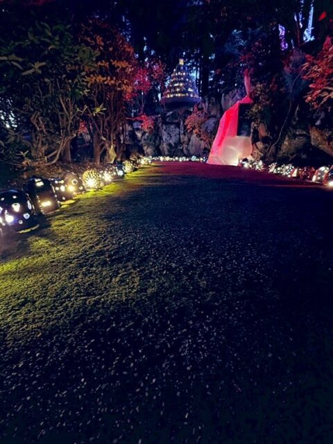 お隣の #越前町 の #越前陶芸村 にある #福井県陶芸館 の #イルミネーションイベント  越前焼×イルミネーション『#五千色の陶あかり』2025  にも行ってきました✨  なかなかいい感じでした〜💖
#fukui #福井 #福井の暮らし #福井工業大学 #FUT #研究 #マーケティング #福井観光