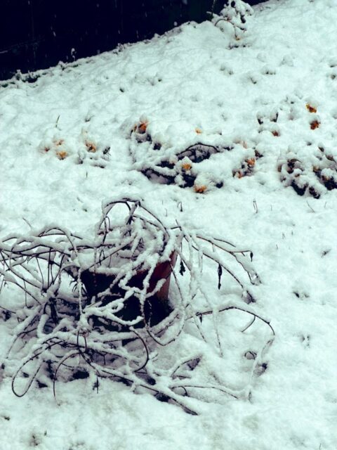 無事、帰宅。  途中、凄かったー🚙💨☃️  初滑りしました🛞❄️
#fukui #福井 #福井の暮らし #福井工業大学 #FUT 研究 マーケティング