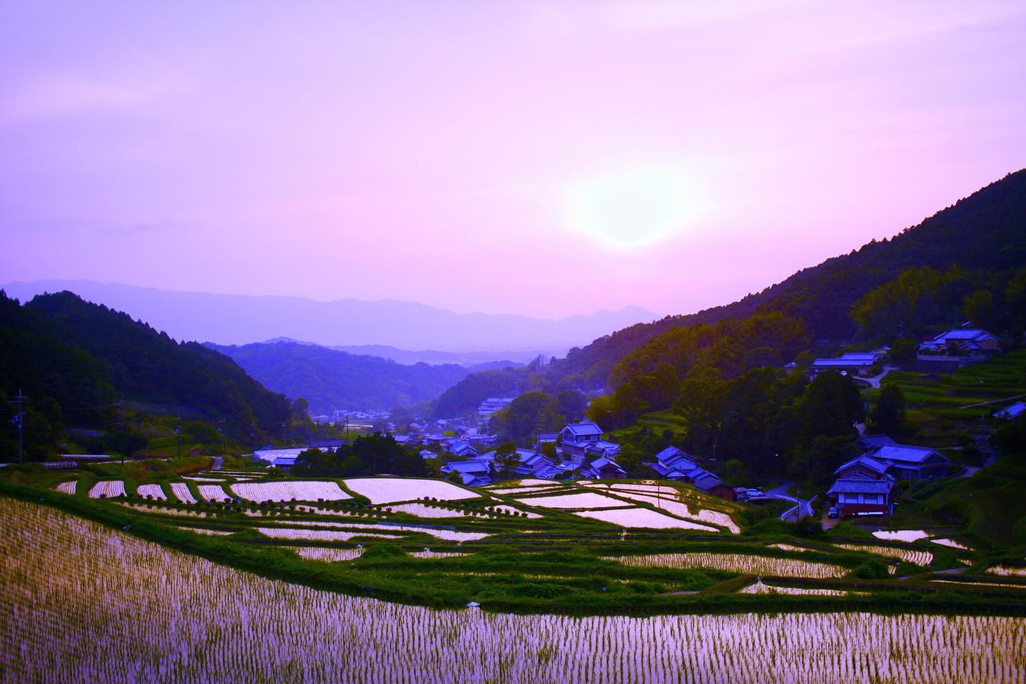 就職活動の時に映画(映像)業界を志し、専門的な勉強もしていないから、当然のように全落ち😢 それで広告業界に拾ってもらった📺 一度は諦めた夢だけど、 死ぬまでに1本だけでいいから映画を撮ってみたいなぁって思ってる🎥 まだ撮りたい主題は朧げで、哲学も知識も経験もないけれど(プロデュースだけはたくさんやらせてもらった)のんびりやります。(今は「論文」の方が書きたいし) 学生時代に見たなんかの映画監督の登竜門的コンペティションで受賞されたのは60歳オーバーの方だった。 お名前とかは忘れてしまったけれど、そっか、幾つになっても夢って叶えられるんだなって思ったことを強烈に覚えている。 最近、SNSマーケティングの研究をやっているせいか、学生時代に少しだけ齧った「映画/映像の文法」を再び学び直している🎬 これがとても楽しい。 本も読んでいるけれど、分からないところはAIに助けてもらっている。 理論的に合っているかどうかはわからないけれど、かなり納得感のある回答が多いので、とても勉強📚になっている。 楽しい😊
#fukui #福井 #福井の暮らし #福井工業大学 #FUT 立命館大学 Rits 研究 マーケティング