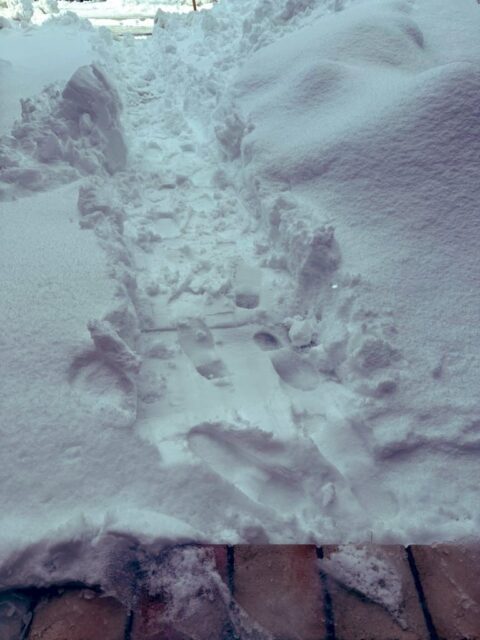 降りましたー❄️ Before☃️ After⛄️ 前任の先生から引き継がせていただいたスノーダンプ(ママさんダンプ)とスコップが大活躍です✨(ありがとうございます😊) 物心ついた頃から16歳まで毎年毎日雪かき(除雪)をやってきたので、体が覚えていました。小脳って凄い🧠 汗かいたのでシャワー浴びました🚿
もう寝るだけかな😴 午後はのんびり書き物でもします。
書かなきゃいけないものがたくさんあるから。
#fukui #福井 #福井の暮らし #福井工業大学 #FUT 立命館大学 Rits 研究 マーケティング