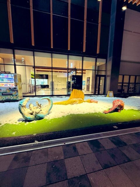 ただいま。  福井も雪❄️  当たり前か🦕  寝ずに頑張って3/5になりました📚（最終課題を除く）
#fukui #福井 #福井の暮らし #福井工業大学 #FUT 立命館大学 Rits 研究 マーケティング 出張 東京