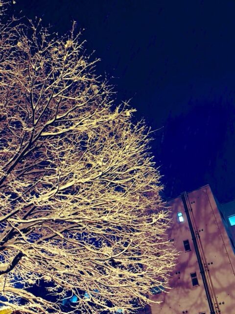 やっちまったなぁ。  相手の営業開始時間までが「本日中」という拡大解釈は平成の広告代理店で終わりを告げたはず🔚  反省しています🙇‍♂️  久しぶりに苦手な作業に出会いました🔥
#fukui #福井 #福井の暮らし #福井工業大学 #FUT 立命館大学 Rits 研究 マーケティング