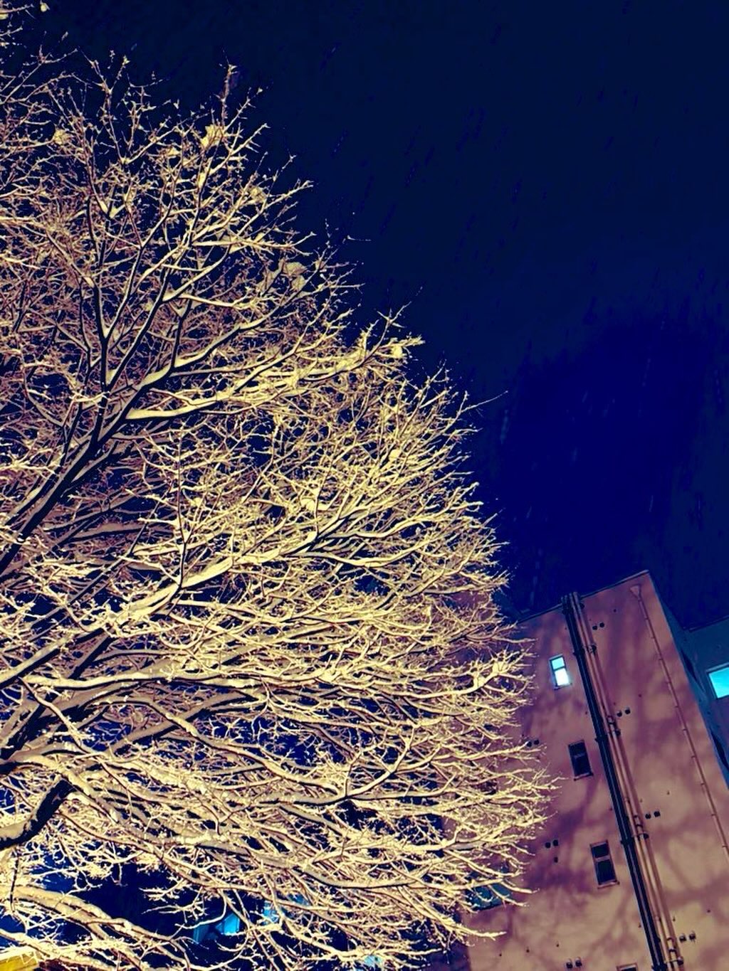 やっちまったなぁ。  相手の営業開始時間までが「本日中」という拡大解釈は平成の広告代理店で終わりを告げたはず🔚  反省しています🙇‍♂️  久しぶりに苦手な作業に出会いました🔥
#fukui #福井 #福井の暮らし #福井工業大学 #FUT 立命館大学 Rits 研究 マーケティング