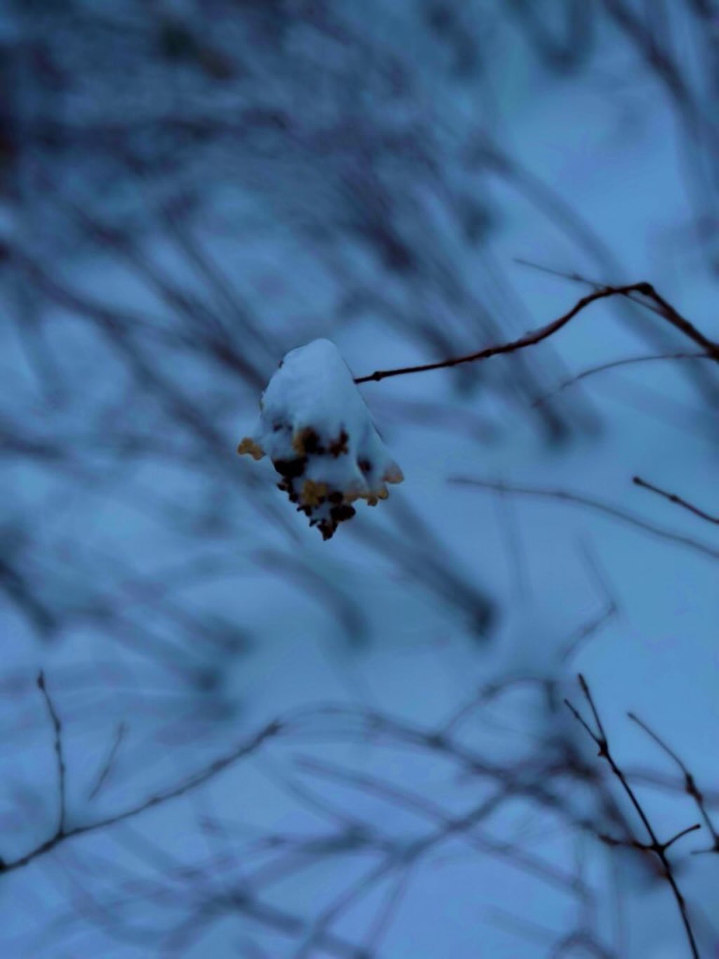 火曜日は勝山高校の探究学習のラウンドテーブルにお招きいただき参加してきました。  私のテーブルは「歴史・その他」  その他って何？😅  県の地域探究コーディネーターさんからは「ワンチャン全部マーケティングで見ることできると思うんでよしなにおなしゃす（麻里意訳）」とのことでしたので「ホントかなぁ？」と首を傾げつつ、全部マーケティング思考でやってみました❤️‍🔥  マーケティングとは自分ではない「他者」を想像すること。  そしてその他者には「歴史」があり「文化」があり「文脈」がある。そして彼・彼女もまた多くの「他者」に影響されて生きている（きた）。  時の為政者とて同じこと。文化の創り手とて同じこと。もちろん現代を生きる皆さんとて、以下同文。  「出来事（行為・行動）」だけを眺めるのではなく「他者」とそれを取り巻く環境に想いを馳せることが豊かな探究の第一歩ではないかと思います。  より豊かな探究に発展することを心の中で祈りながら、一参加者として楽しく対話させていただきました。  皆さん、素晴らしかった。
ちゃんと若き「探究者」でした。  ちなみに「歴史（含む文化）」以外は全員「マーケティング」だったよ😁
#fukui #福井 #福井の暮らし #福井工業大学 #FUT 立命館大学 Rits 研究 マーケティング