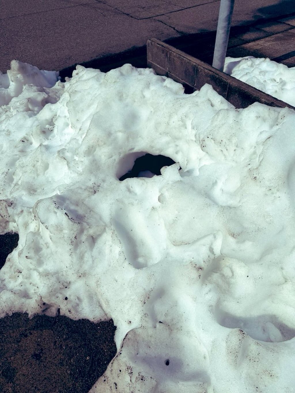 今日もあったかいやん🌸 春、来るかな🌱
#fukui #福井 #福井の暮らし #福井工業大学 #FUT 立命館大学 Rits 研究 マーケティング