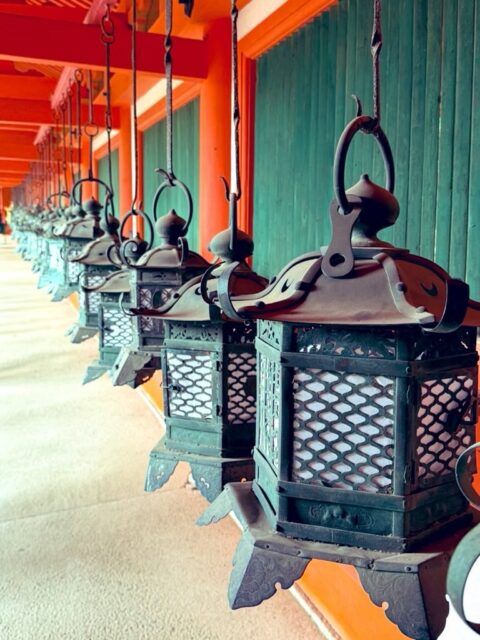 お世話になります。
たくさん通ったなぁ。 今年、大吉100% お役に立てたかなぁ。
#春日大社
#fukui #福井 #福井の暮らし #福井工業大学 FUT 立命館大学 Rits 研究 マーケティング 出張 奈良