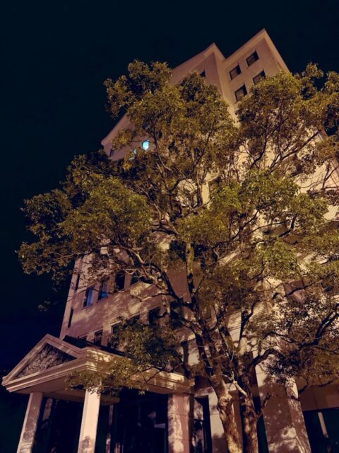 本日、久々、盛大にやらかしました😭
先様に救っていただきましたが、青ざめました😨  もうポンコツ過ぎて壁に頭ぶつけたい。  秘書が欲しいです🧑‍💼👩‍💼
#fukui #福井 #福井の暮らし #福井工業大学 #FUT 立命館大学 Rits 研究 マーケティング