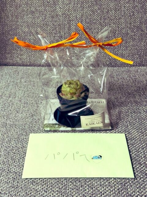 ちょっと早いんですが、昨日は妻と私のバースデーパーティー🥳 娘が「パパに気持ちを伝えるには“花”だ」と言って買ってきてくれた素敵な花束💐と「研究室に置いて」ということで多肉植物をプレゼントしてくれました🎁 手紙付き。 妻がどういう気持ちを伝えたいの?と聞いたら 「感謝」 だったそうです。 泣けちゃう😭
#fukui #福井 #福井の暮らし #福井工業大学 #FUT 立命館大学 Rits 研究 マーケティング